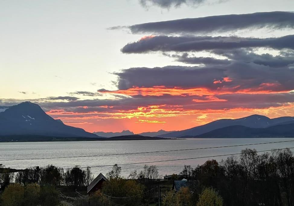 Liten Kjellerleilighet. Landlig Rolig Omrade. Tromsø Eksteriør bilde