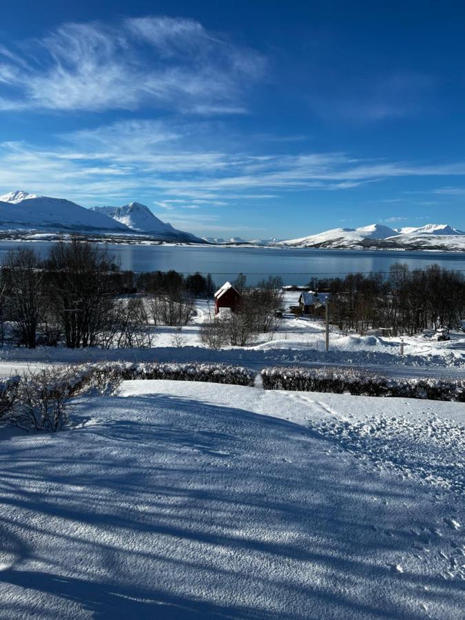 Liten Kjellerleilighet. Landlig Rolig Omrade. Tromsø Eksteriør bilde